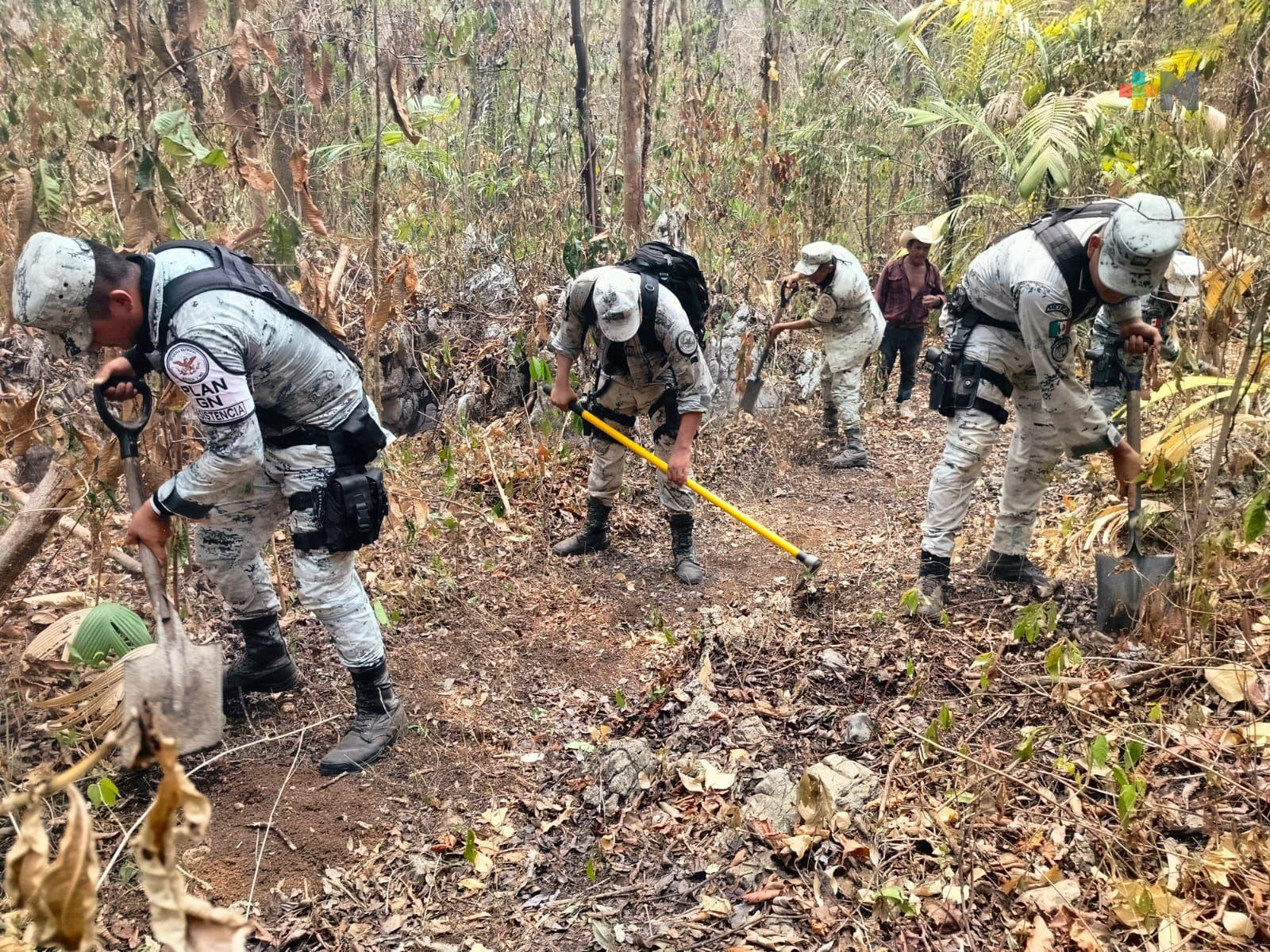 Se reactiva incendio en Uxpanapa; reportan control de 55% y 45% de liquidación
