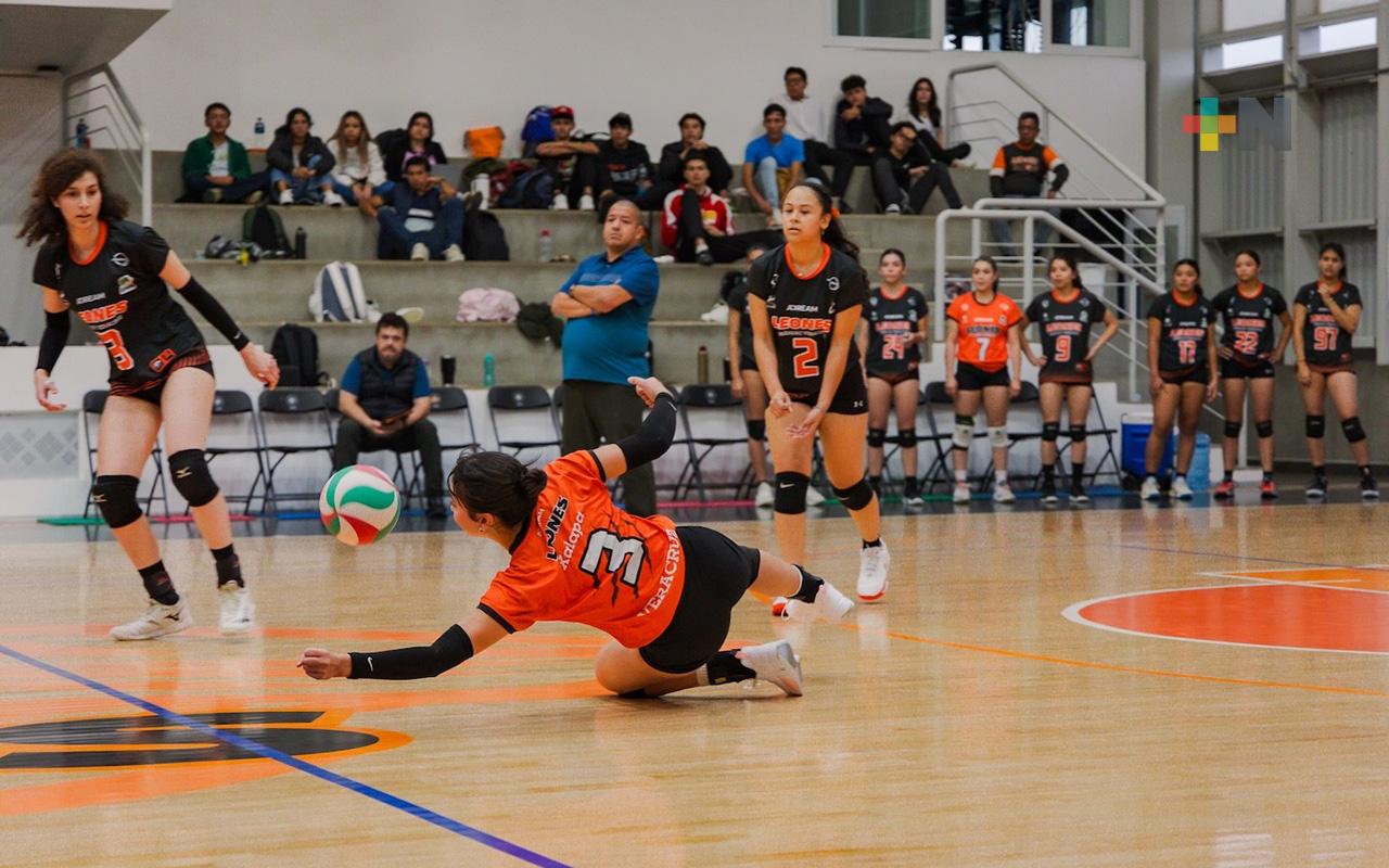 Leones quieren regresar a Veracruz a la División I en el ABE