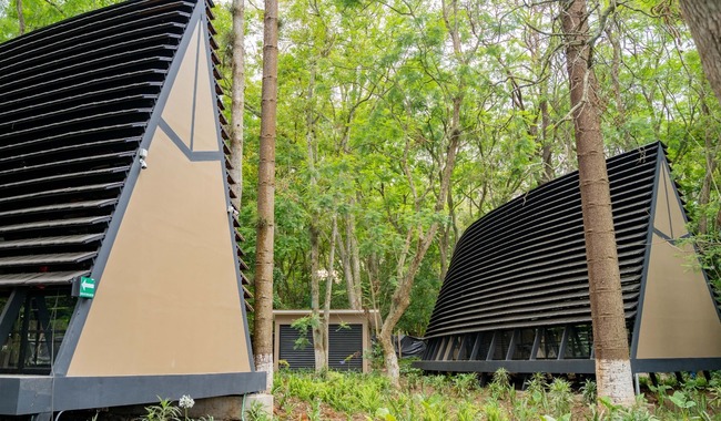 Parque del Bosque Ferrocarrilero de Xalapa, finalista al premio británico AR Public Awards 2024