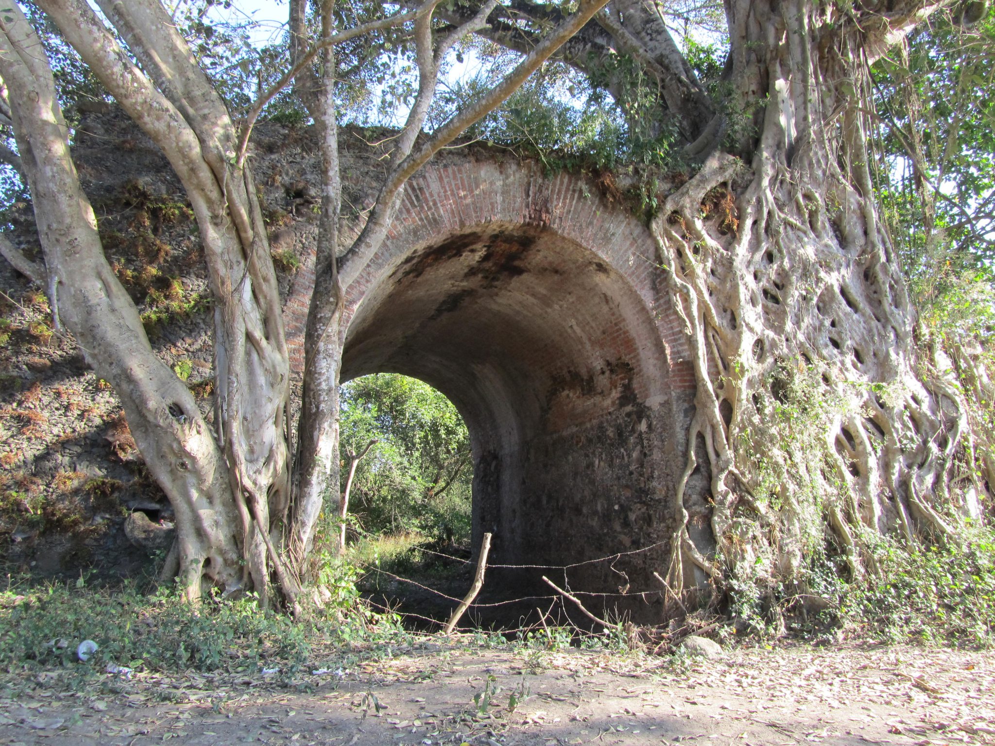 Presenta Secver el taller “Diseño de proyectos de investigación y difusión del patrimonio”