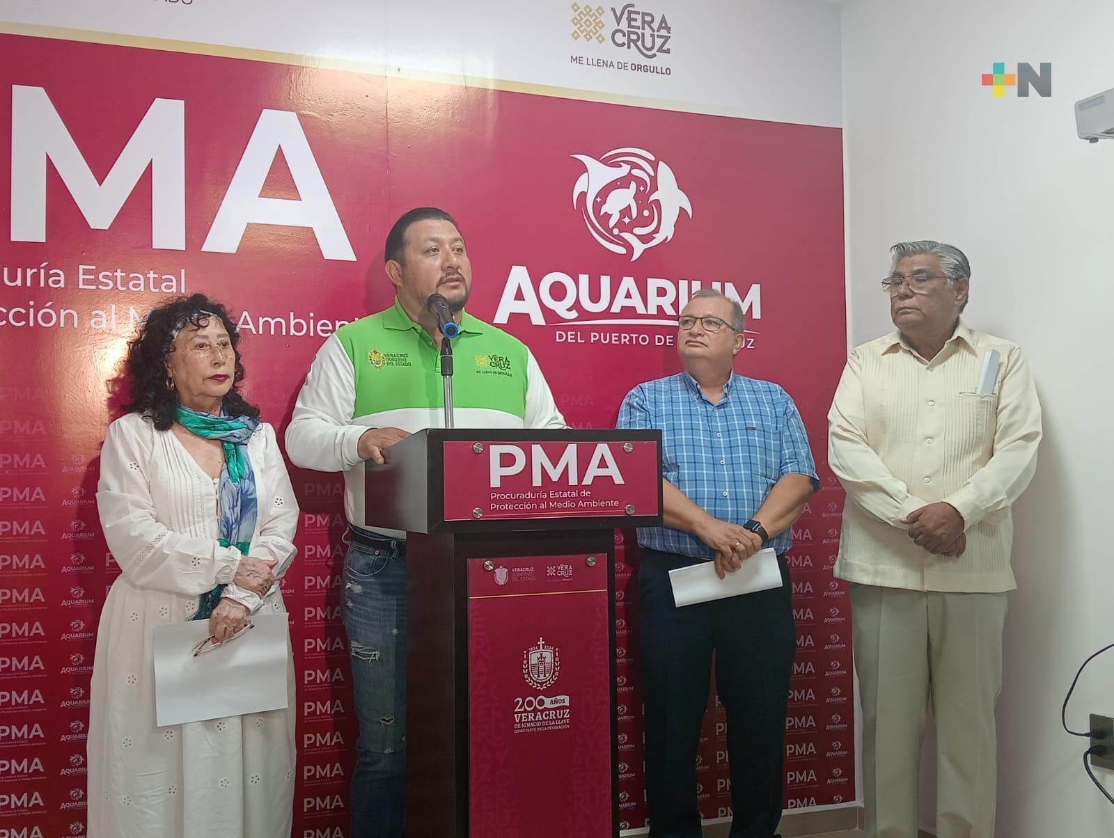 Festival del Ahuehuete en Ciudad Mendoza del 1 al 6 de julio; forma parte de proyecto de rescate