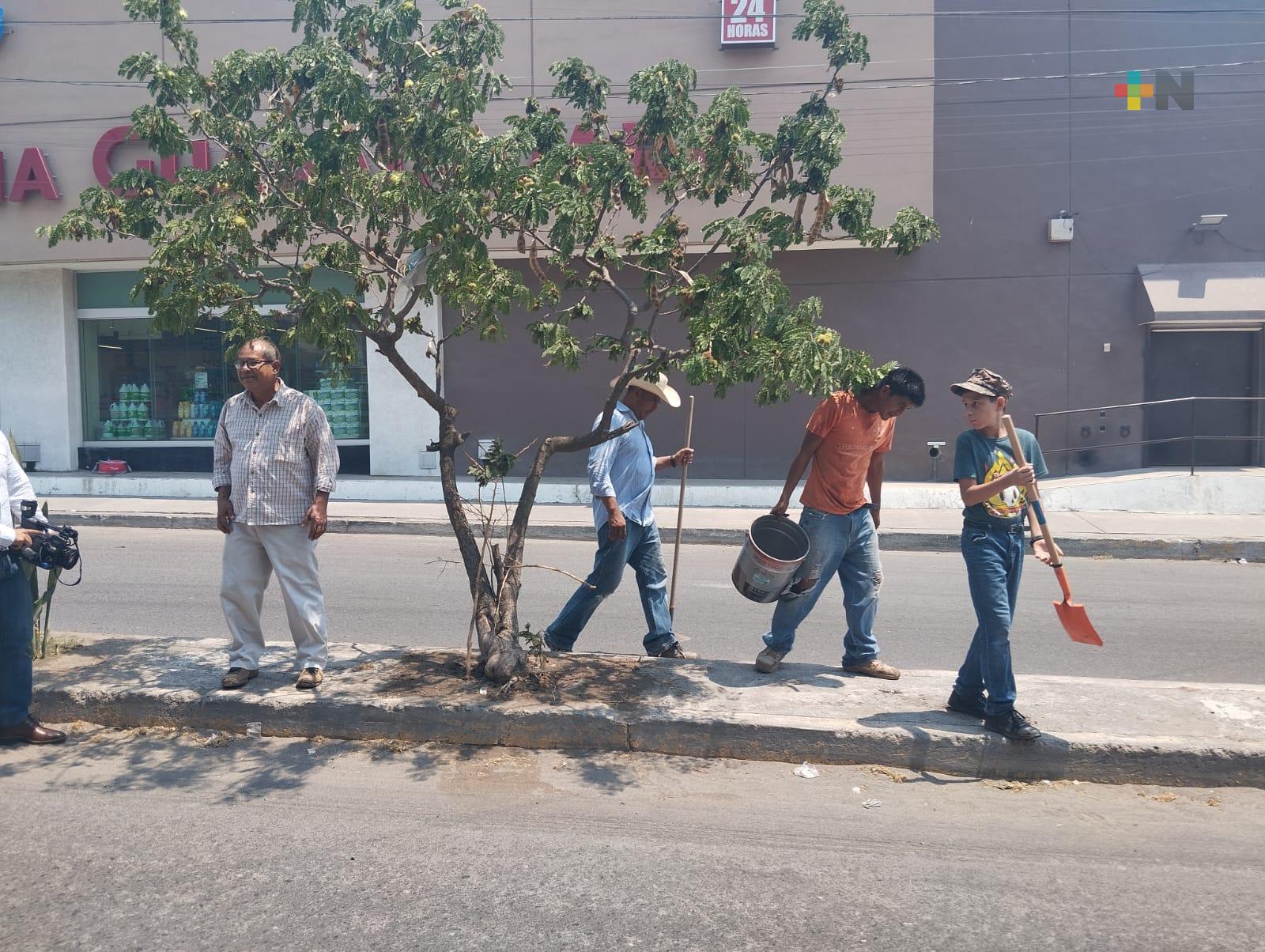 Ambientalista independiente ha sembrado más de 500 árboles en lo que va del año