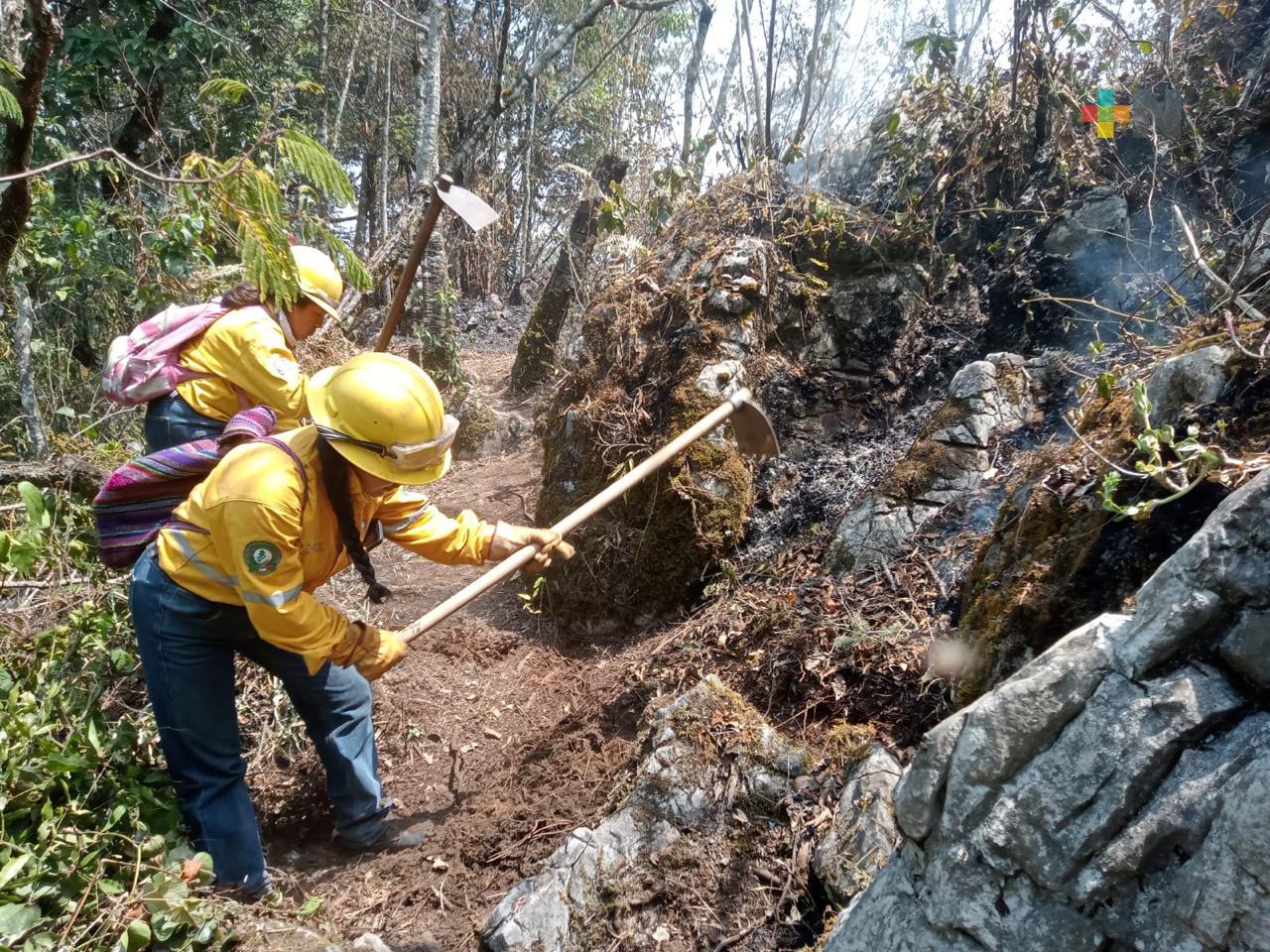Fuerzas de tarea atienden 17 incendios forestales en Veracruz