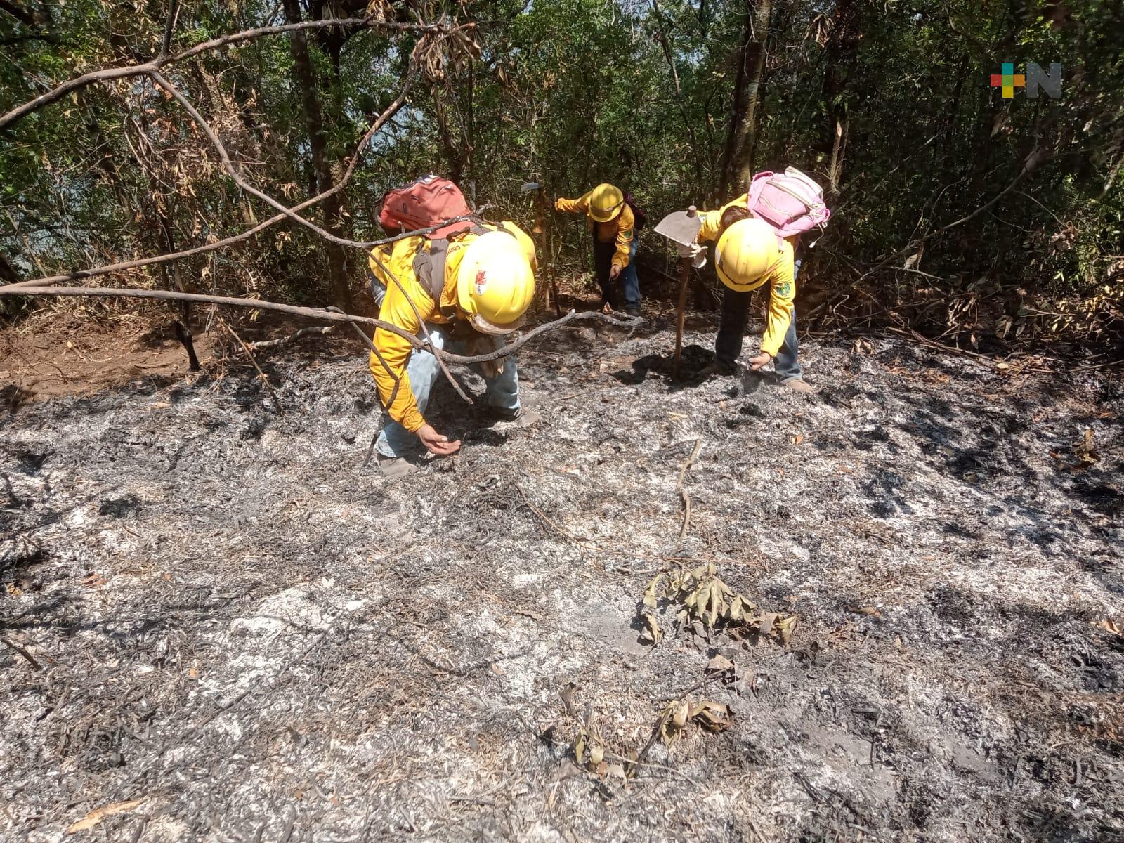 Brigadas de combate forestal atienden 2 incendios en Tequila