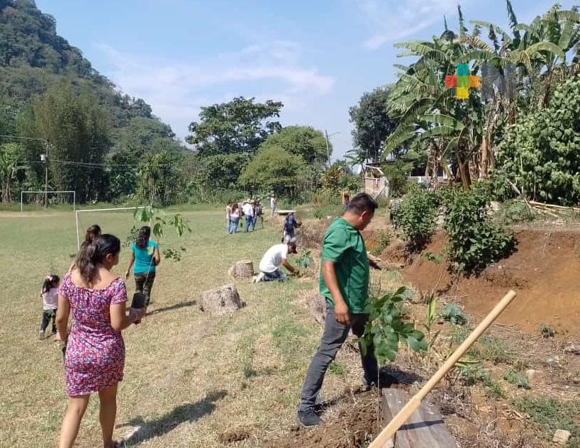 Inicia reforestación en escuelas primarias en zona rural de Córdoba