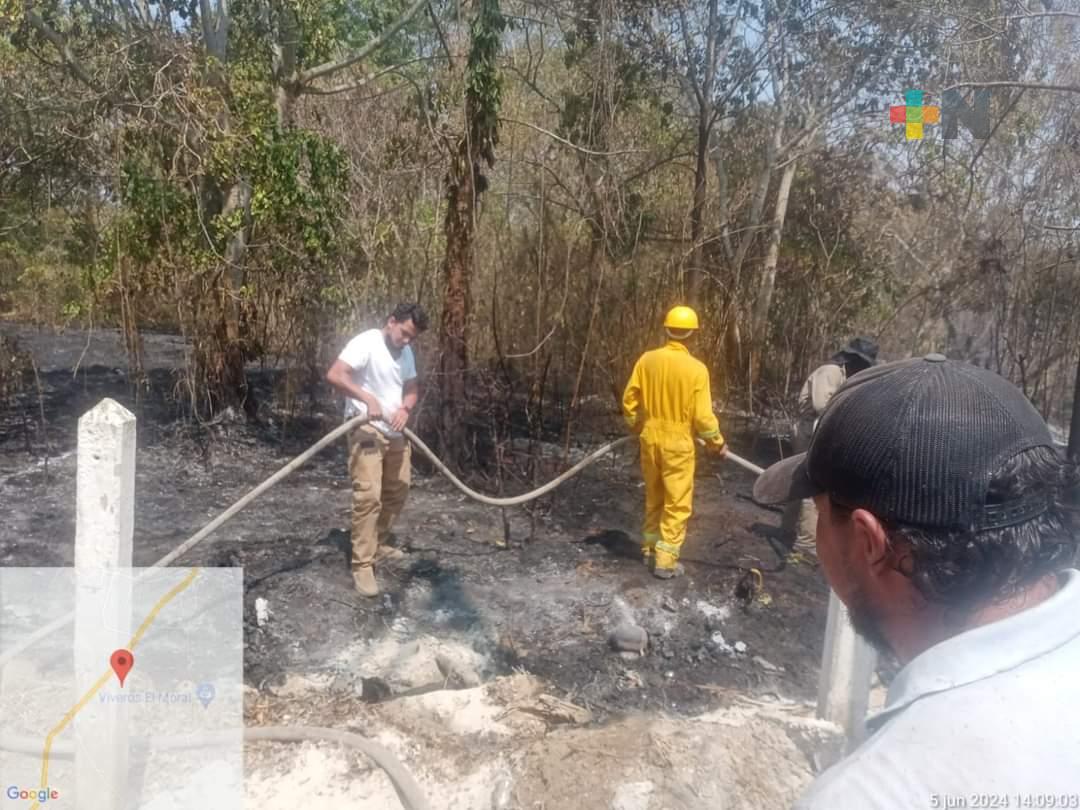 Sofocan incendio en La Estanzuela, Emiliano Zapata