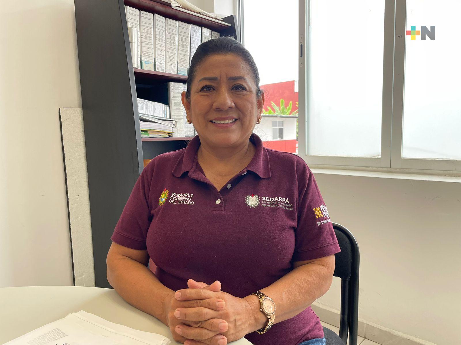 Pronunciamiento público de agroecología en el campo veracruzano está dirigido a productores