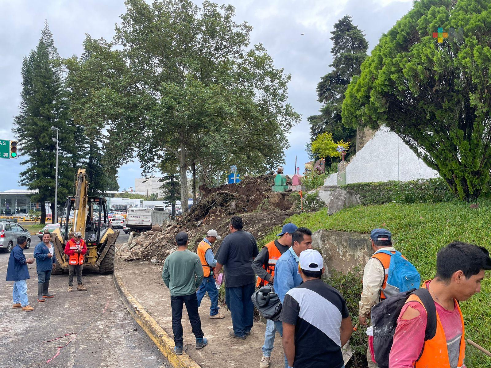Colapsa barda de panteón Palo Verde; ya trabajan en retirar los escombros