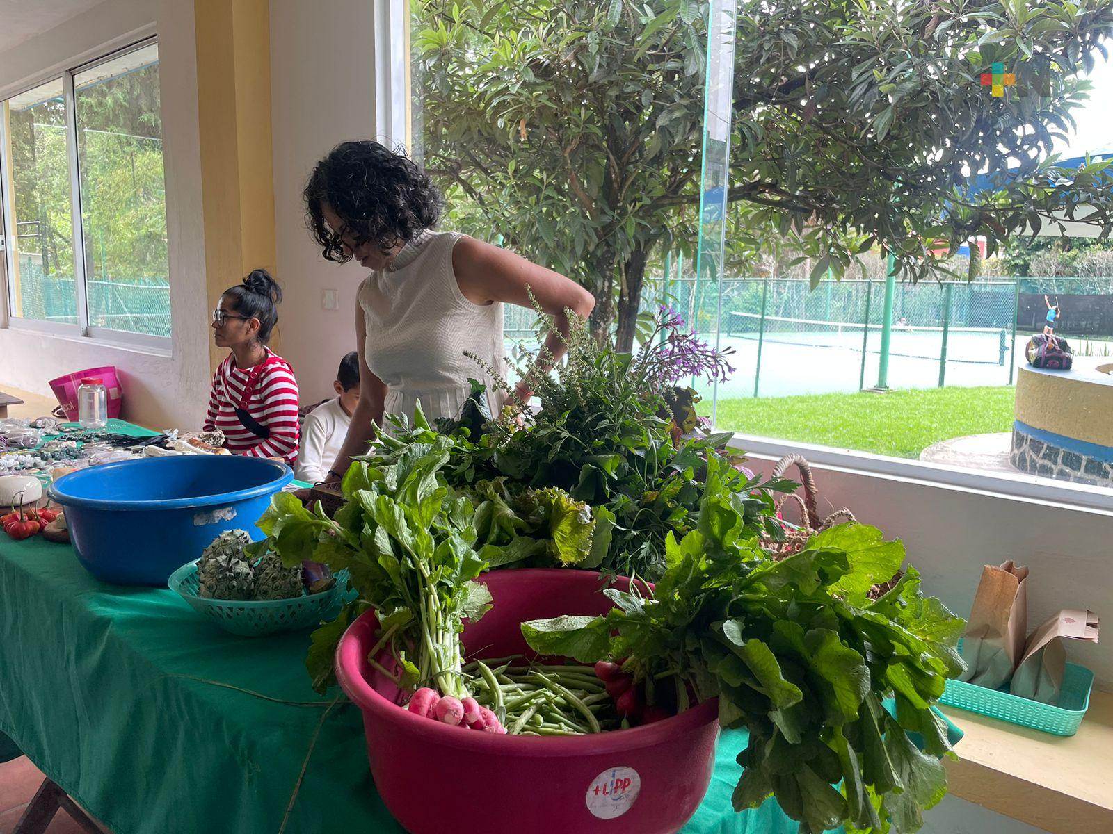 Sequía causa pérdidas económicas en productores orgánicos