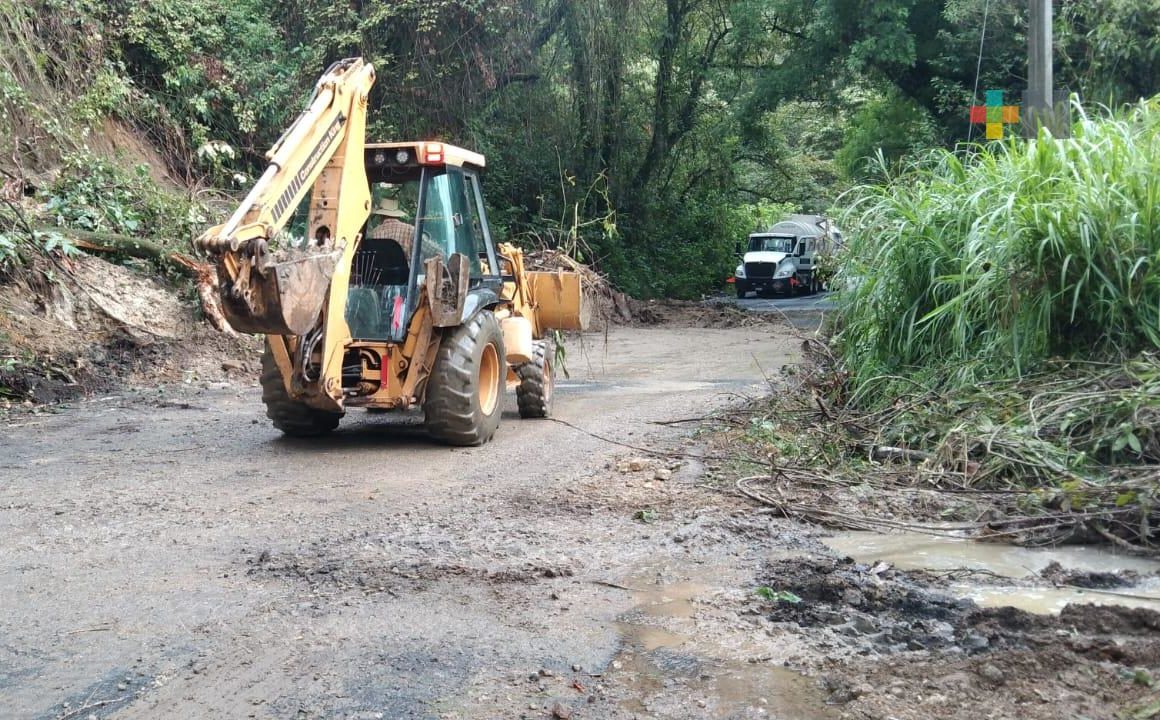 Liberada carretera federal Fortín-Huatusco, a la altura de barranca de Chocamán