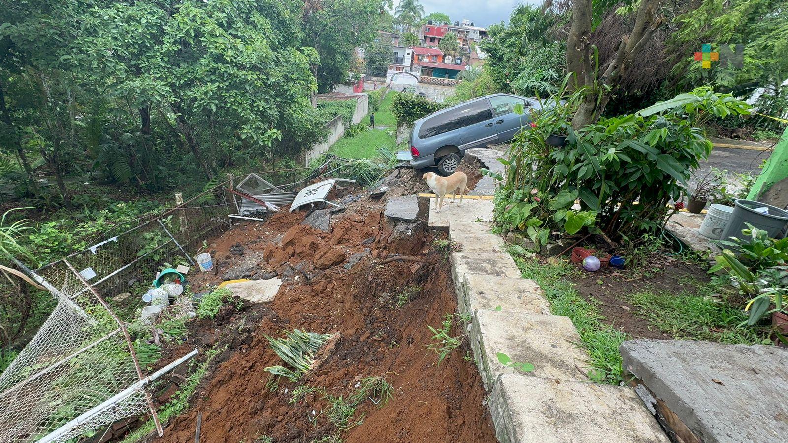 Lluvias causan deslaves y caída de árboles en diferentes partes de las altas montañas
