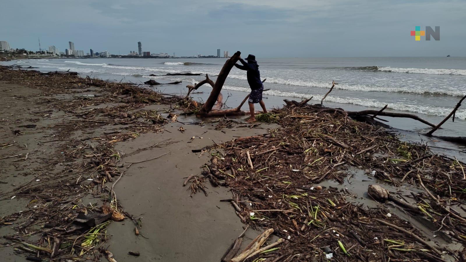 Palizada invade playa Santa Ana de Boca del Río