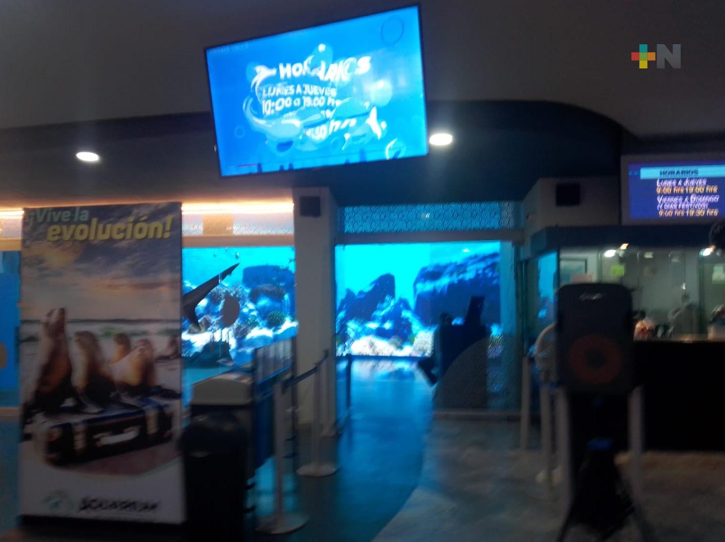 Aquarium de Veracruz anuncia horarios especiales por festividades carnestolendas