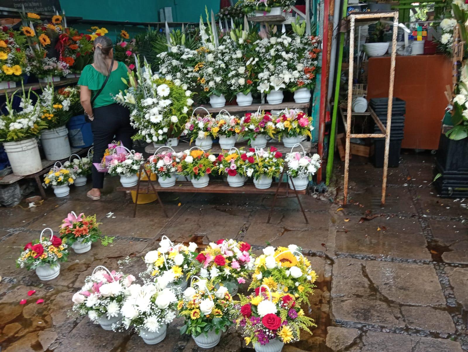 Lluvias benefician a comerciantes de flores en Veracruz puerto