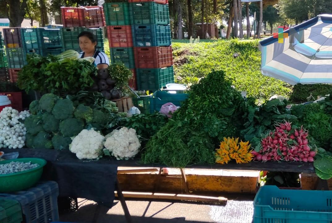 Aún dan cilantro como “pilón” en mercado ambulante