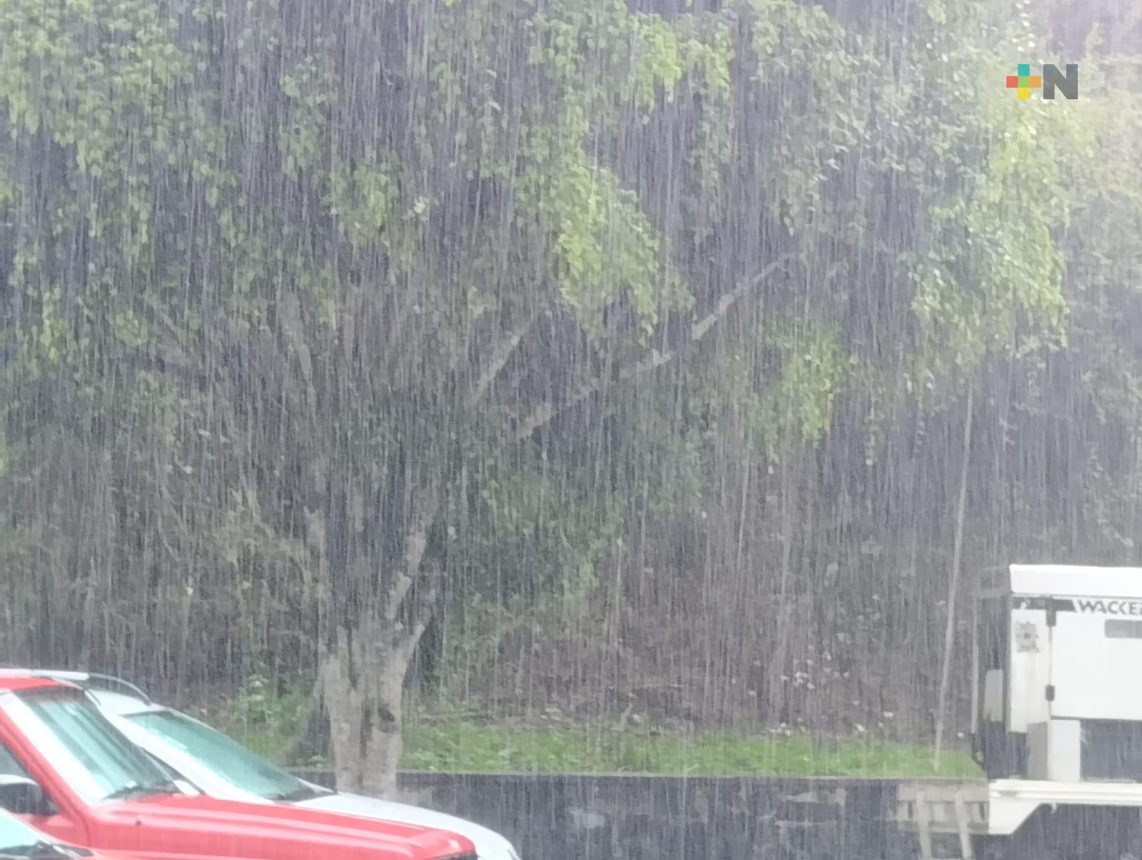 Captación de agua de lluvia, alternativa ante efectos del estiaje en región de Xalapa