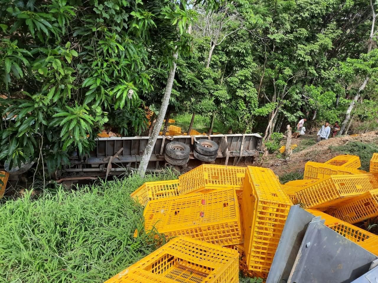 En accidente de transportación de pollo aparece rapiña en Las Choapas-Ocozocoautla