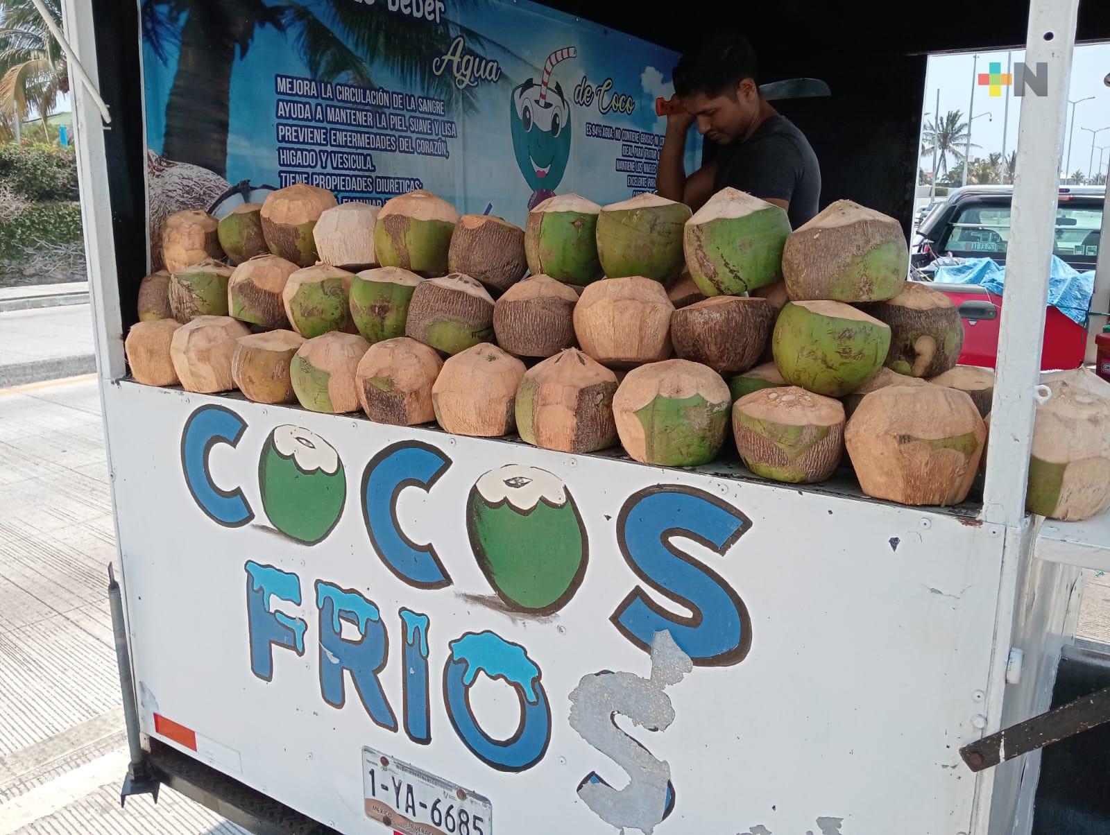 Venta de coco aumenta en zona conurbada Veracruz-Boca del Río