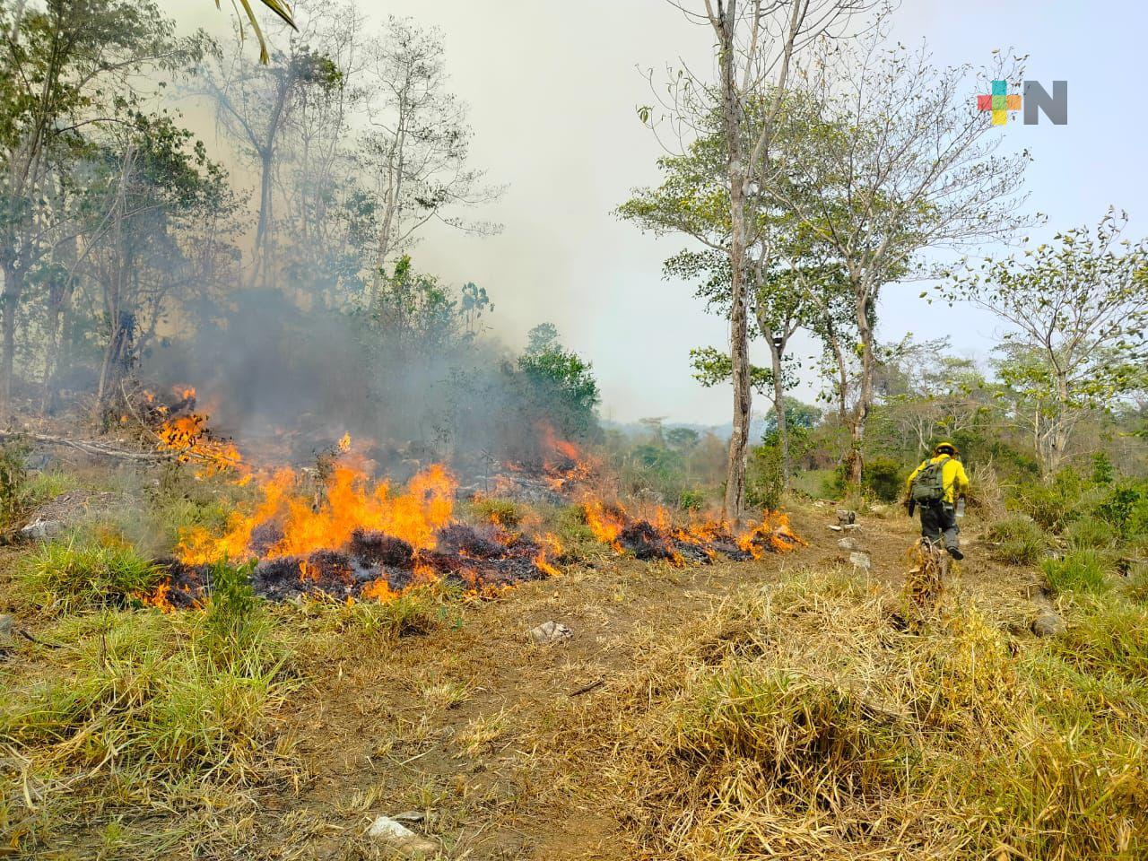 Sin poder contralar y extinguir incendio en ejido de Uxpanapa