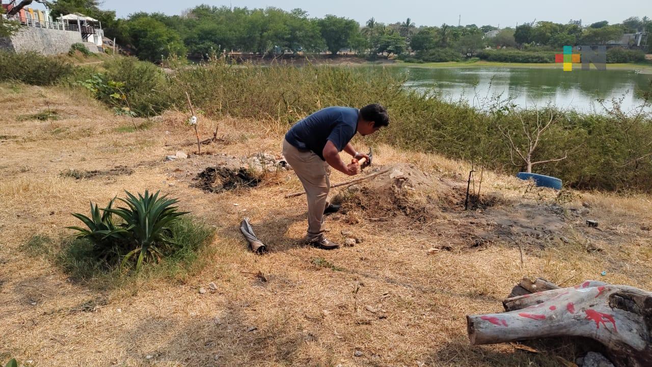 Vecinos sembrarán cien árboles en lagunas de Veracruz puerto