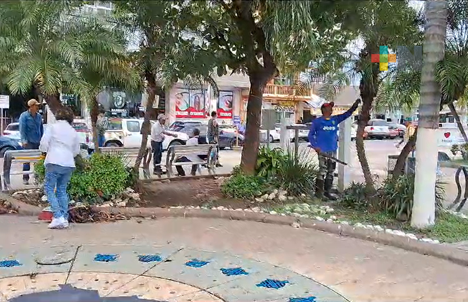 Embellecen y dan mantenimiento a los espacios verdes de Tuxpan