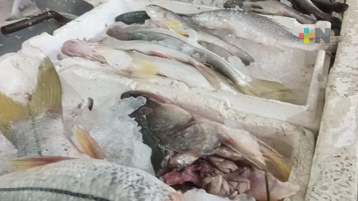 Aumento en precio de hielo afecta economía de comerciantes en Martínez de la Torre