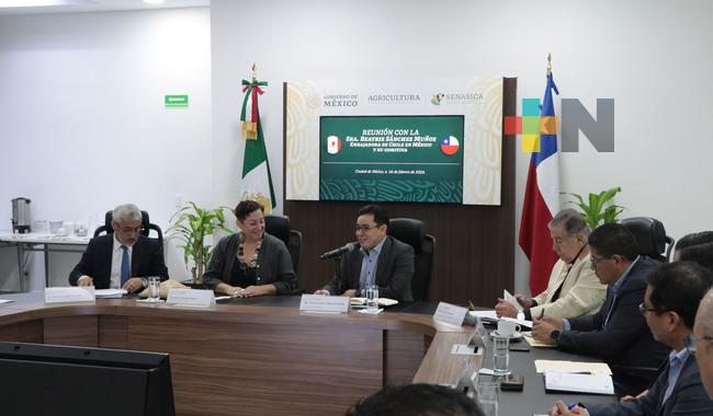 Intercambio comercial México-Chile potencia desarrollo de pequeños y medianos productores
