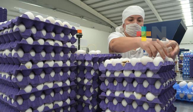 Mayores exportaciones impulsan superávit de 3,930 mdd en balanza agroalimentaria