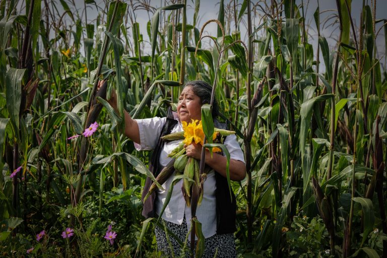 Presenta Secver una amplia diversidad de talleres en la Fototeca de Veracruz