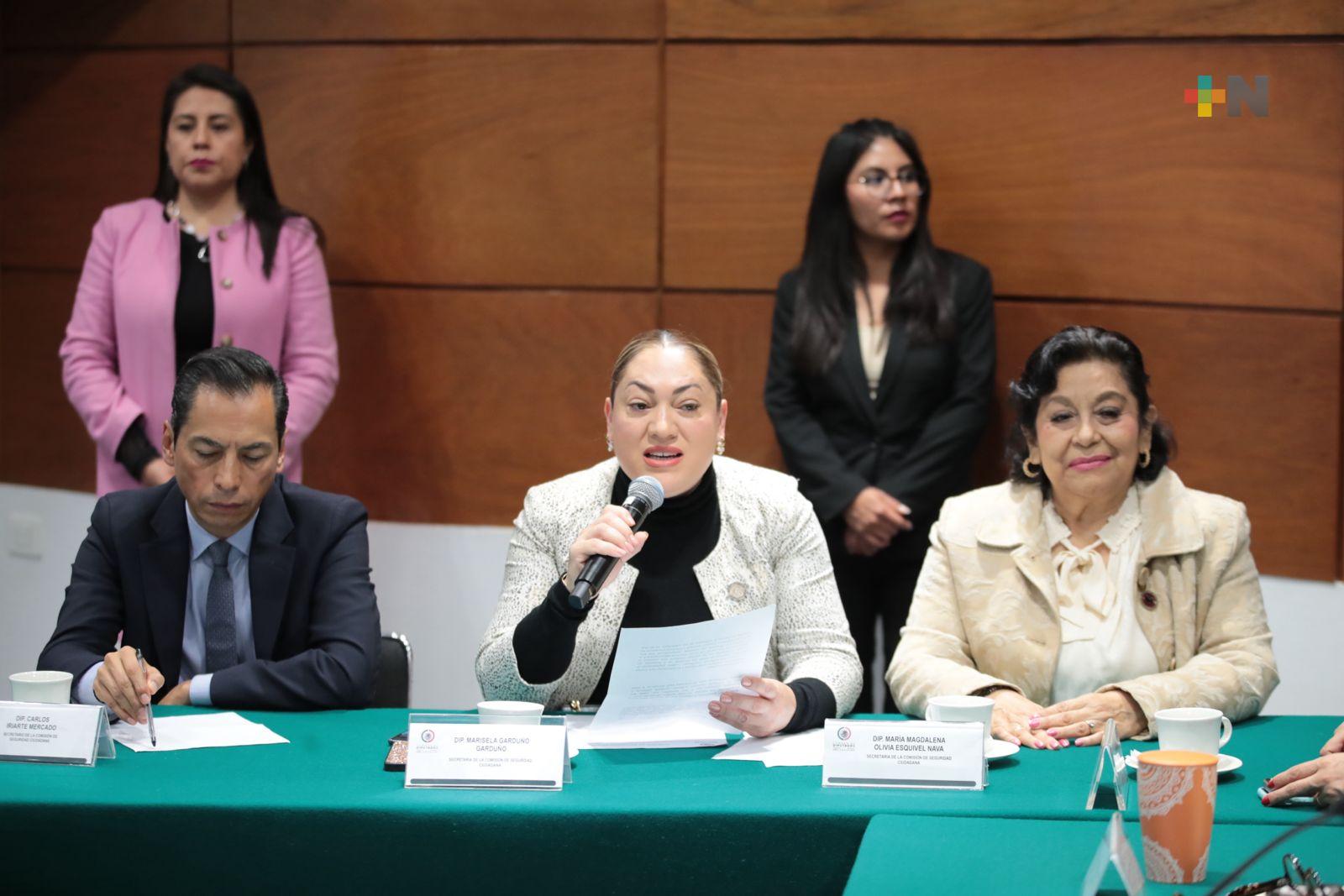 Se ha avanzado en la construcción de un México más seguro y próspero: Diputada
