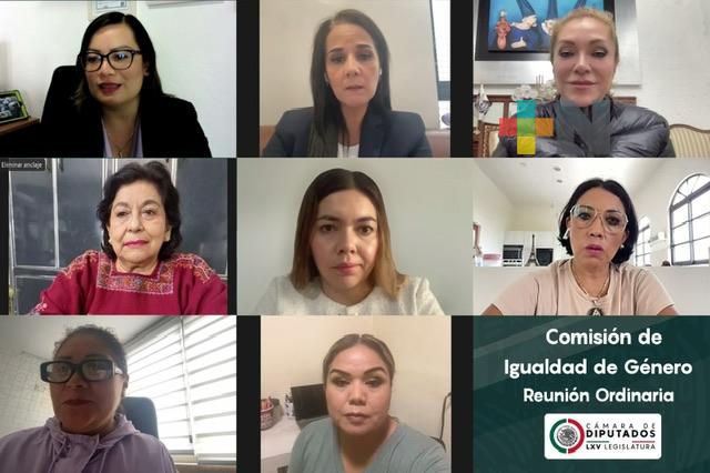 Por unanimidad, Comisión de Igualdad de Género aprobó su informe final