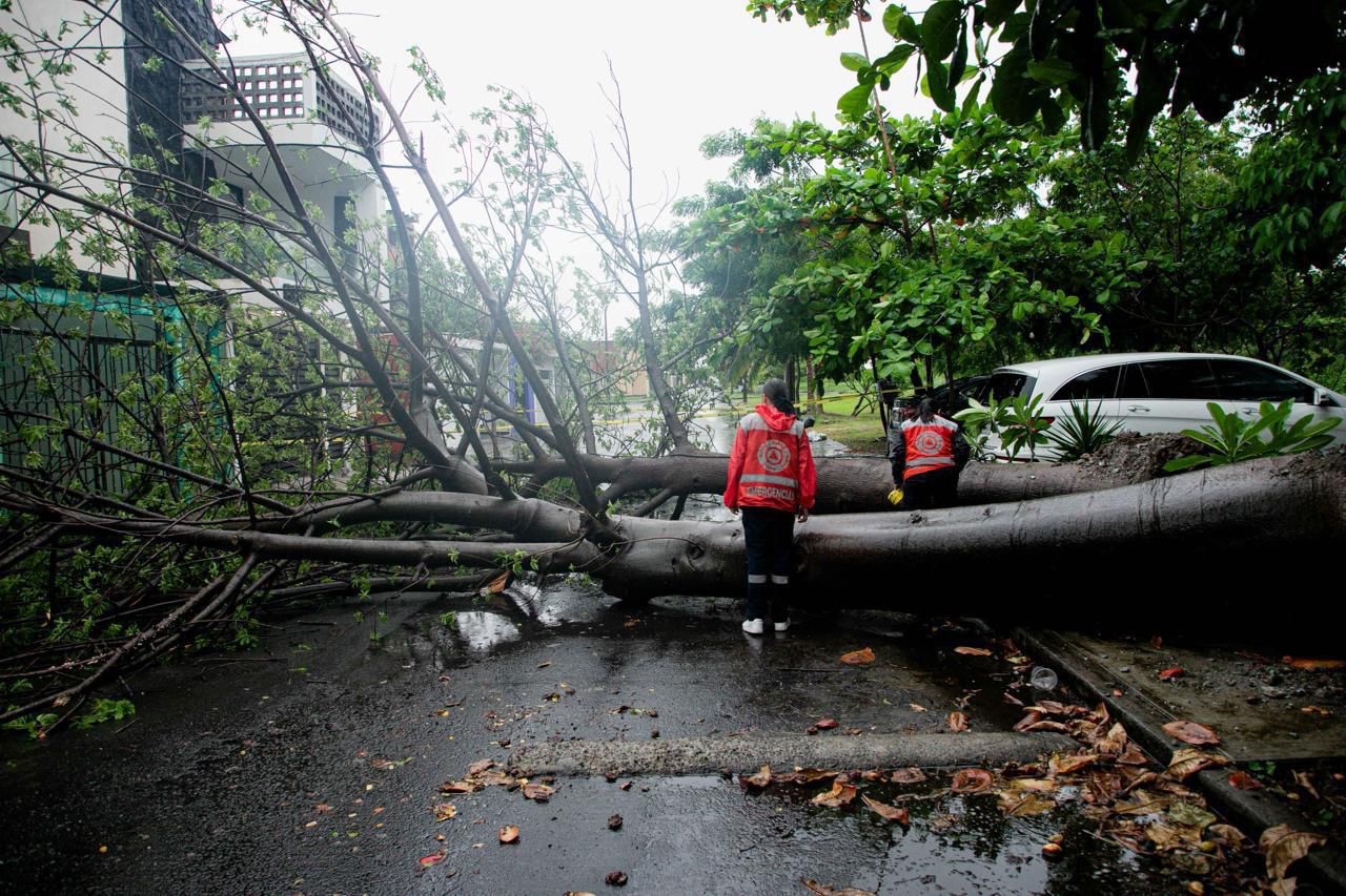 Calles inundadas, árboles caídos reportan en Boca del Río por las fuertes lluvias