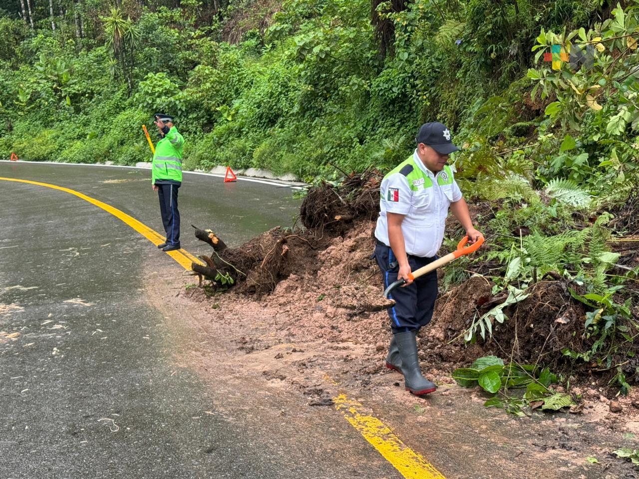 Por deslizamiento de tierra, circulación lenta en carretera Atzalan-Tlapacoyan