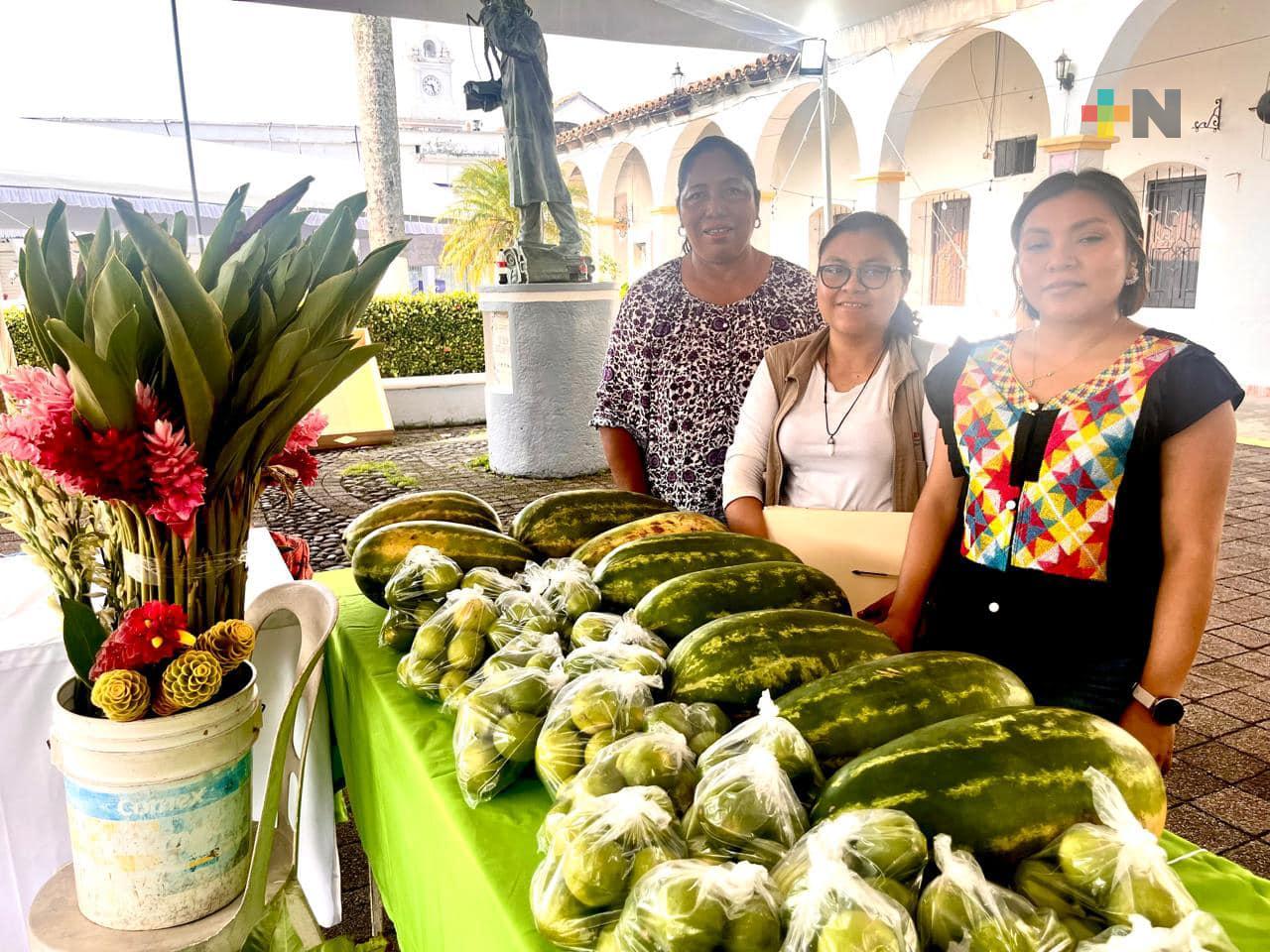 Apoyemos a los pequeños productores campesinos en «Mercaditos solidarios»: Gobernador