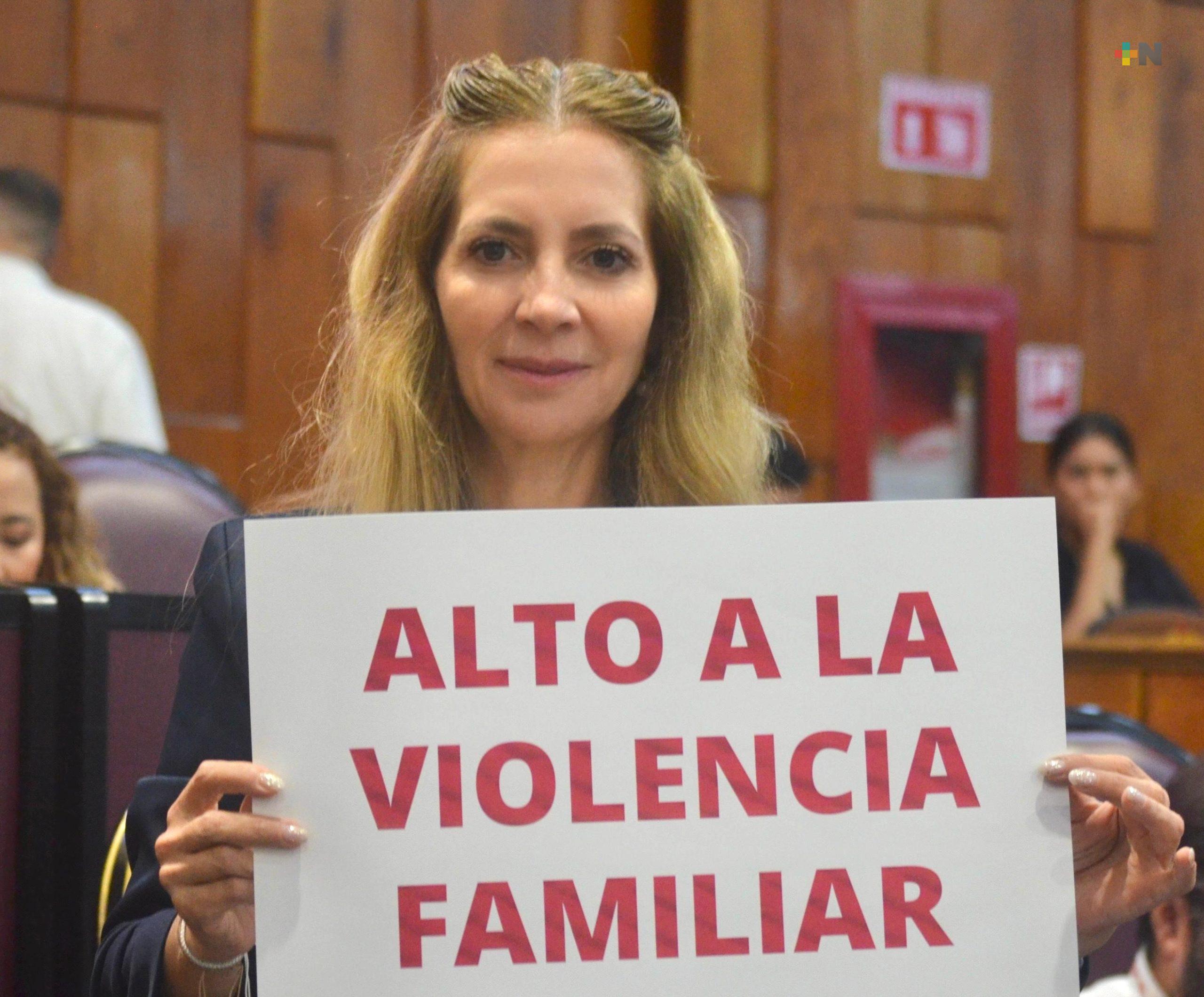 Veracruz avanza en la protección de la niñez y la familia: Ana Miriam Ferráez