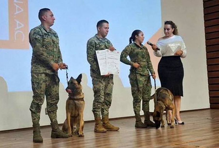 Reconoce labor de Eros e Hydra, elementos caninos de Marina