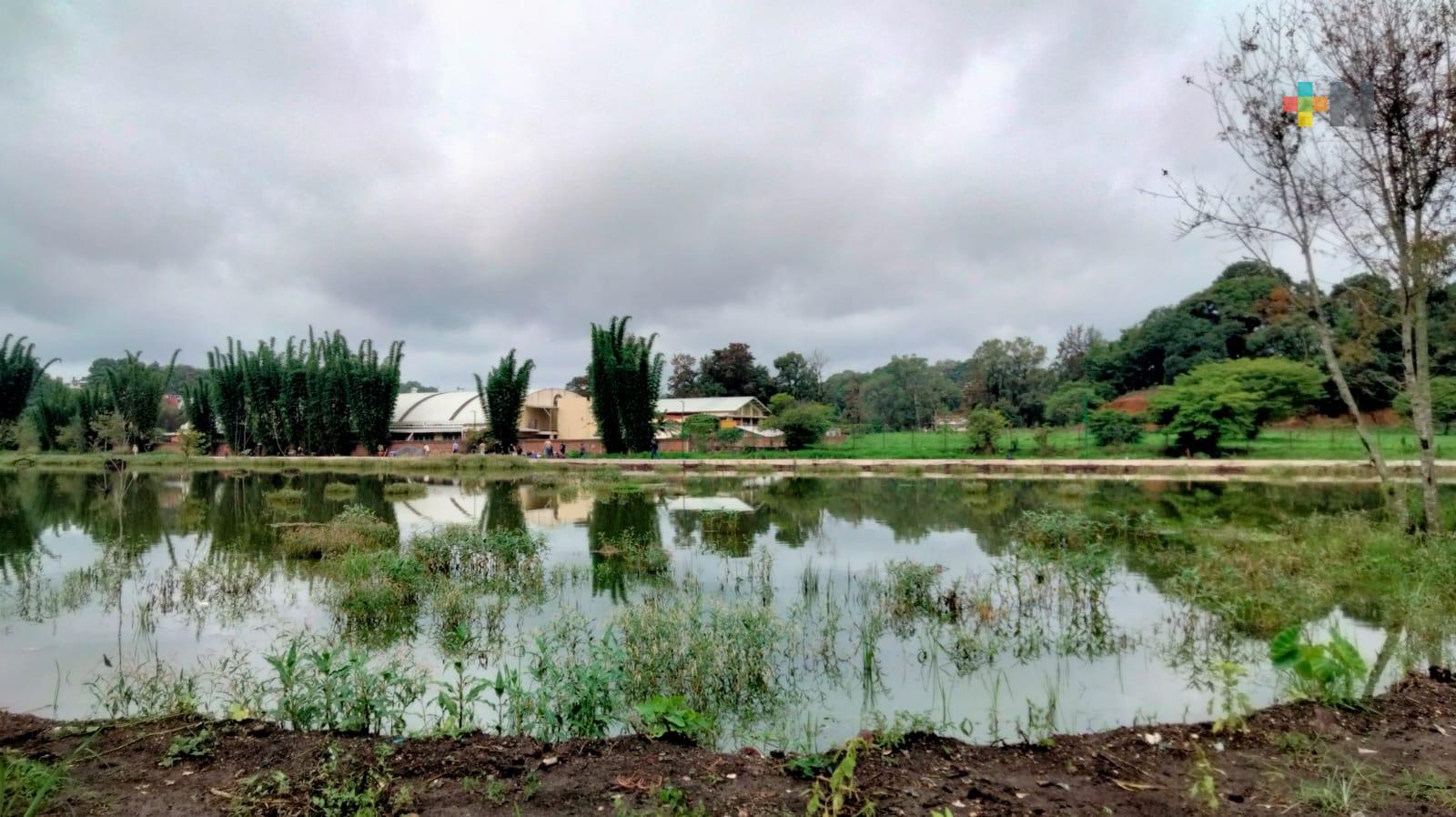 Humedal Lomas de San Roque vuelve a tener vida: Sedema