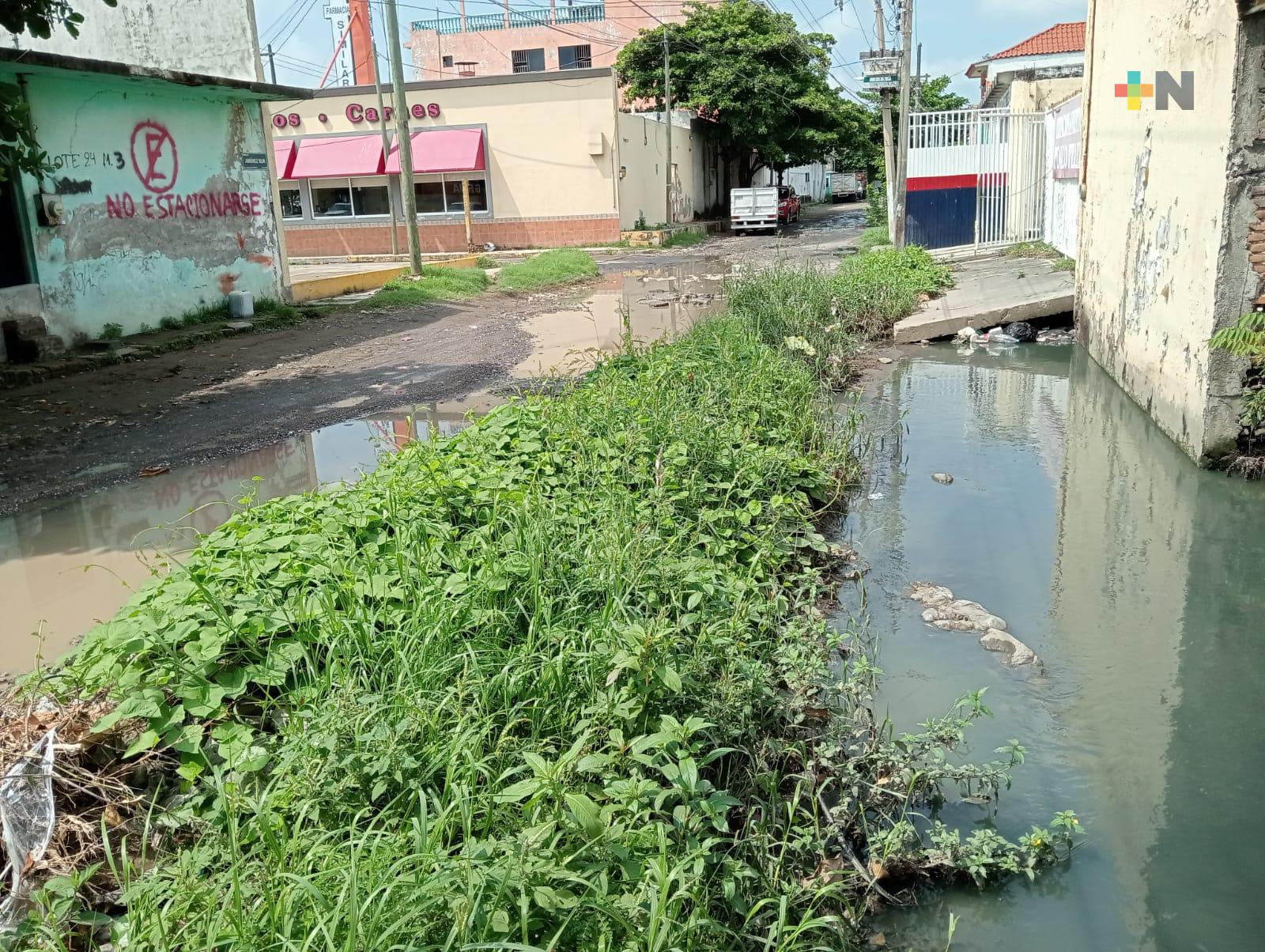 Malas condiciones de avenida Jiménez sur de Veracruz puerto