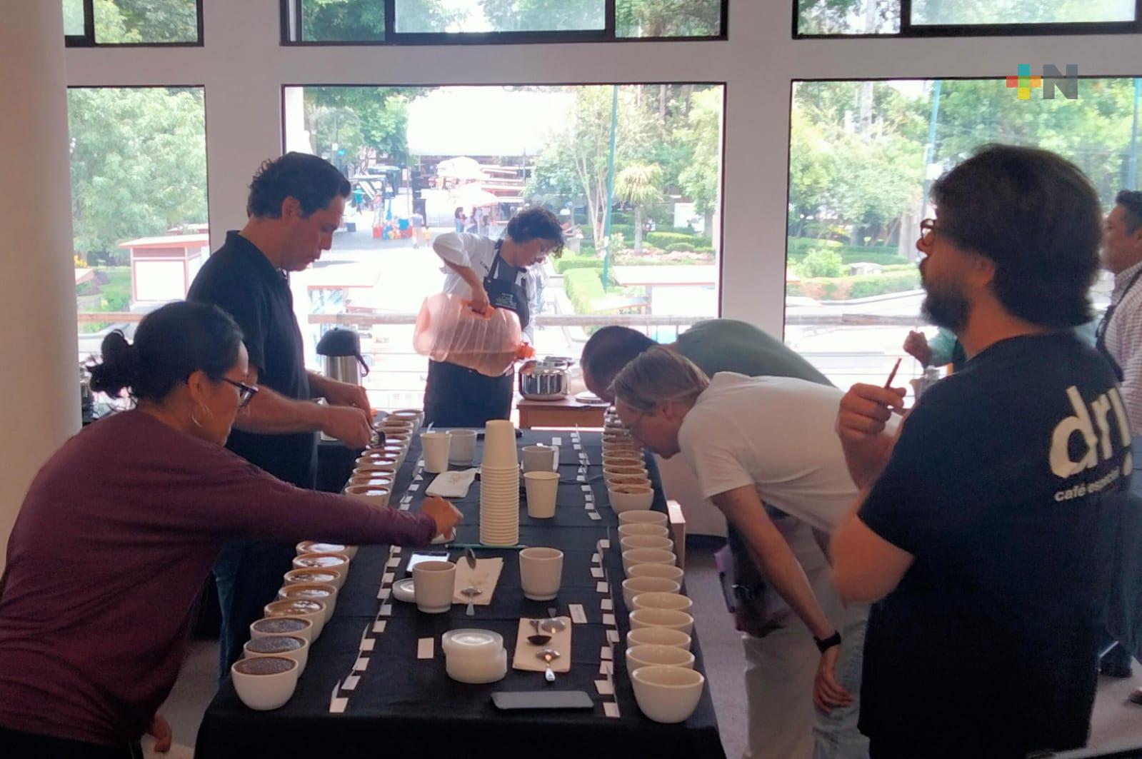 Imparten talleres, conferencias y charlas en segundo festival Café Veracruz