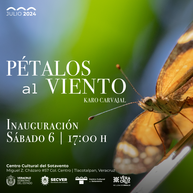 Presentan la exposición Pétalos al viento, de Karo Carvajal, en el Centro Cultural del Sotavento