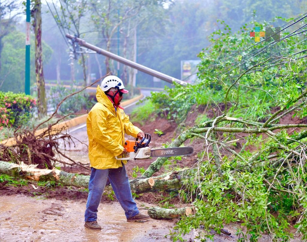 Atiende PC Xalapa afectaciones por lluvias, árboles caídos y múltiples deslaves