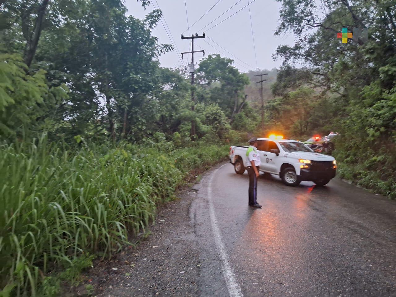 Tormenta tropical «Chris» se ha debilitado a Depresión tropical
