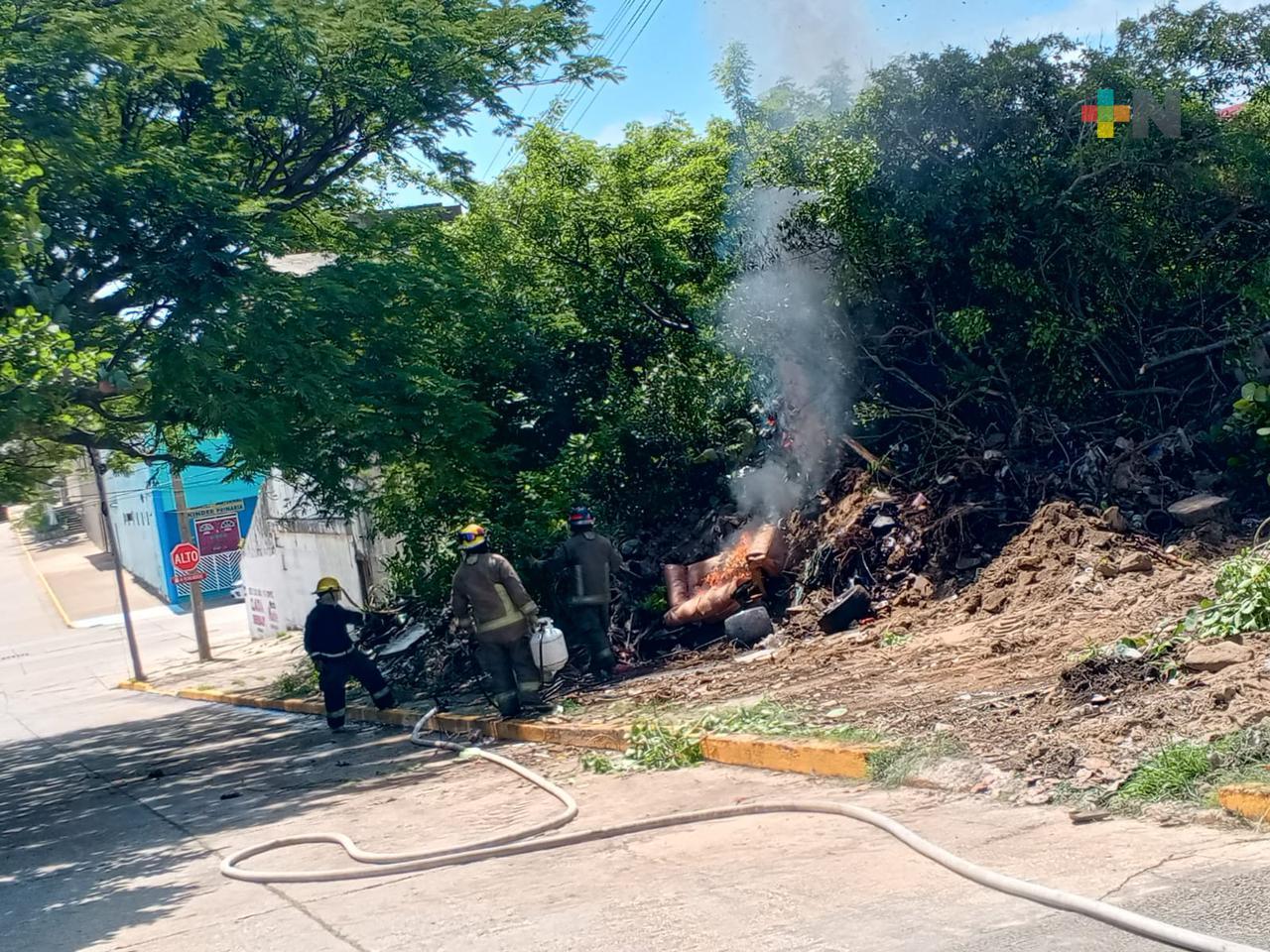 Abejas africanizadas en Coatza movilizan a cuerpo de Bomberos