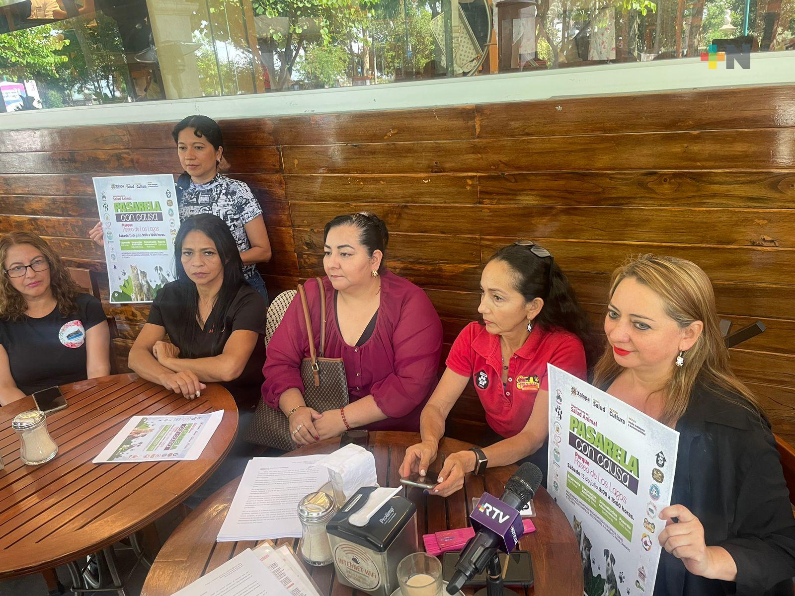 Invitan a segunda pasarela de perros y gatos en Los Lagos