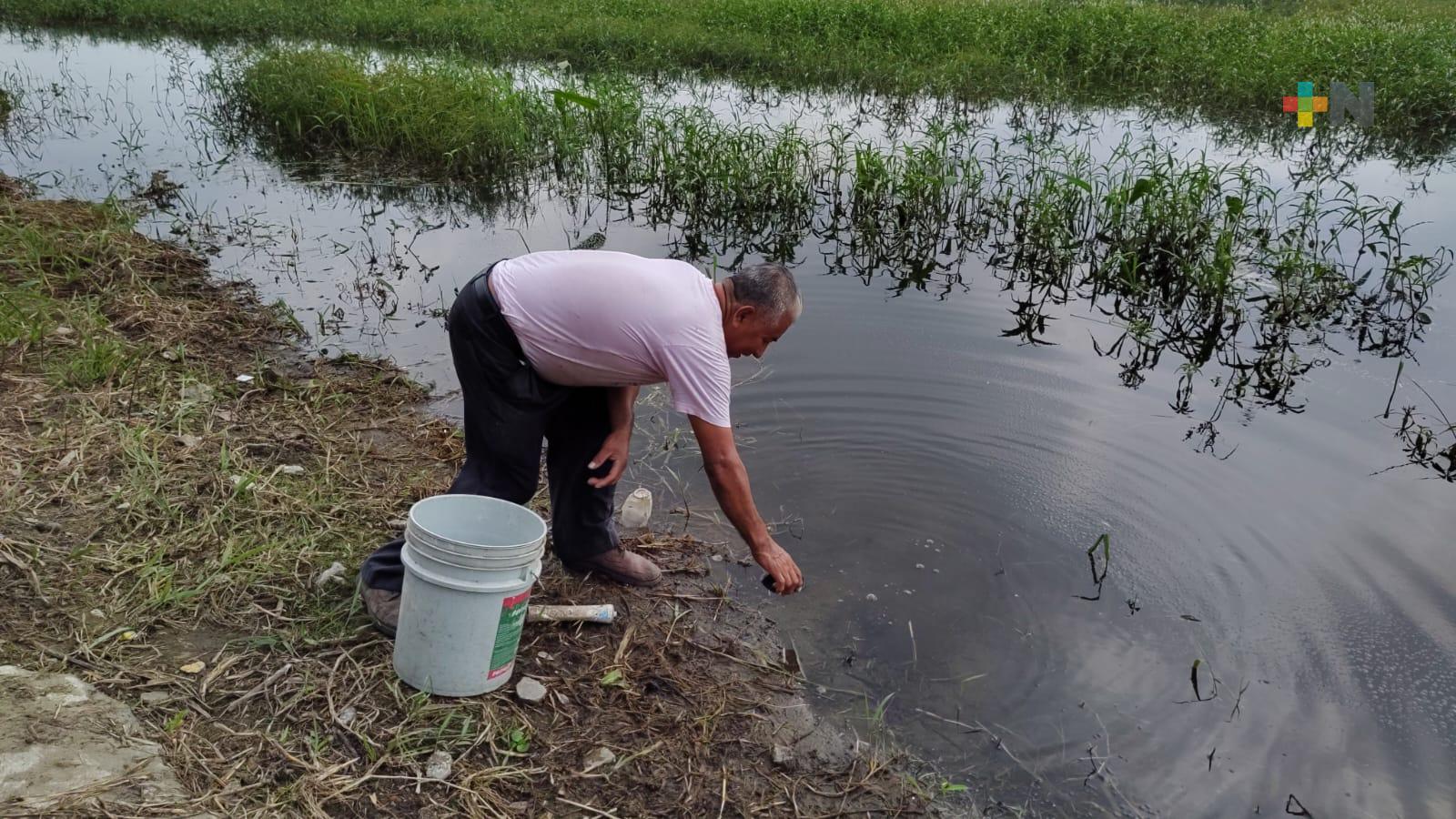 Laguna de Tarimoya recupera su nivel y colonos empiezan a repoblarla