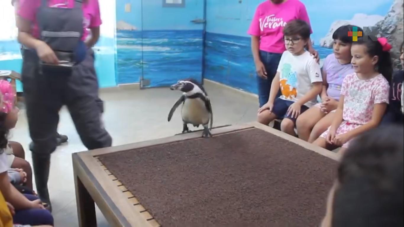 Aquarium del Puerto de Veracruz tendrá cursos de verano a partir del 29 de julio