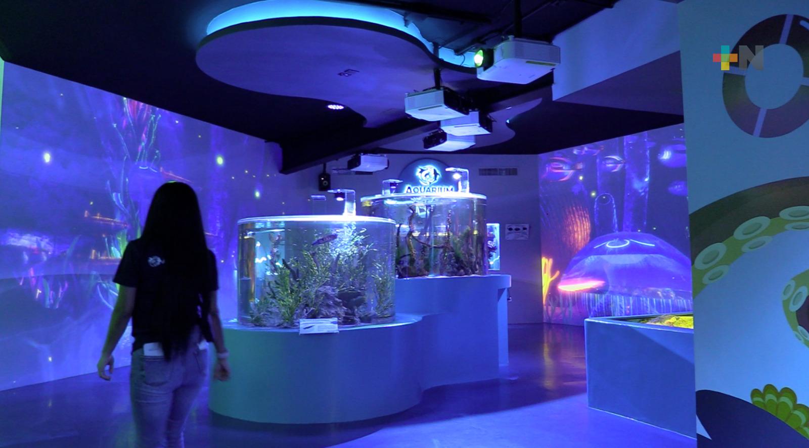 Estudiantes del municipio de Yanga visitaron al Aquarium del Puerto de Veracruz