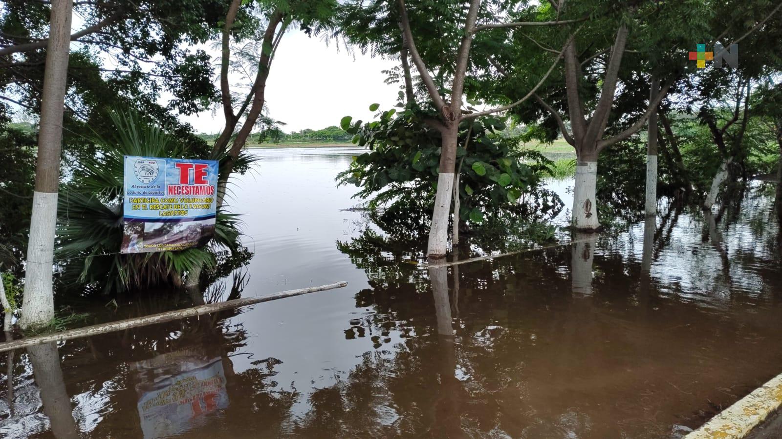 Se desborda laguna Lagartos en Veracruz puerto