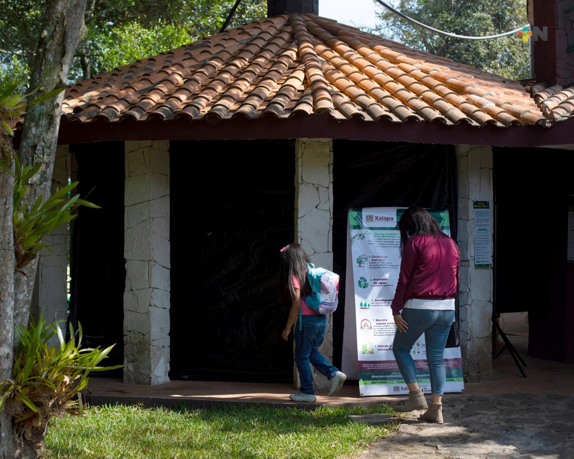 Anuncian diversos cursos de verano para niños y niñas en Xalapa