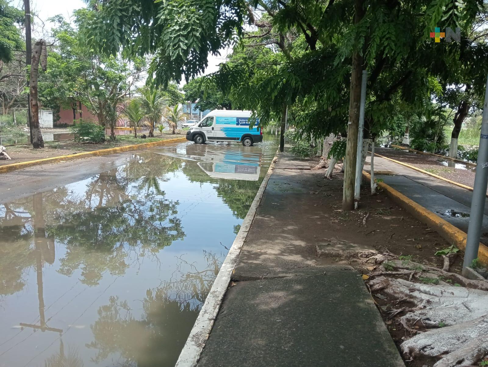 Laguna Lagartos aumenta sus niveles tras lluvia de este jueves